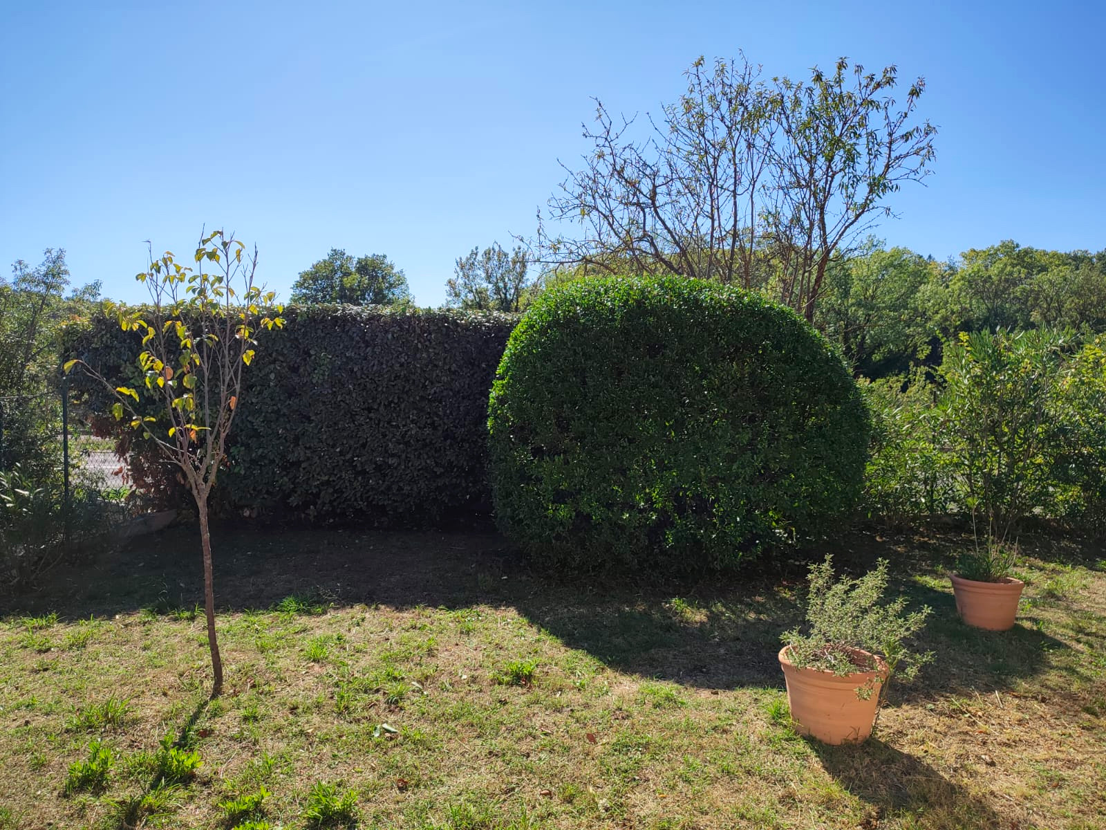 entretien jardin montferrier sur lez après