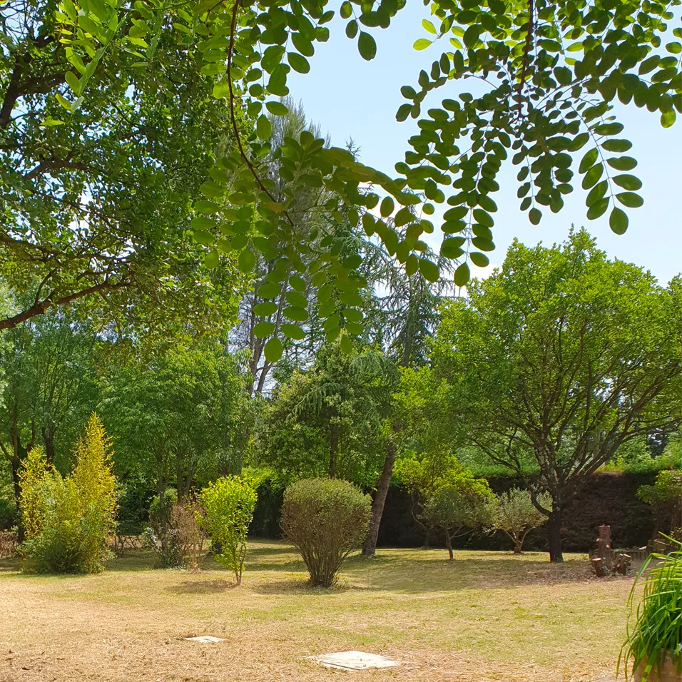 elagage-arbre-saint-clement-de-rivieres