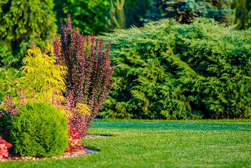 entretien jardin clapiers