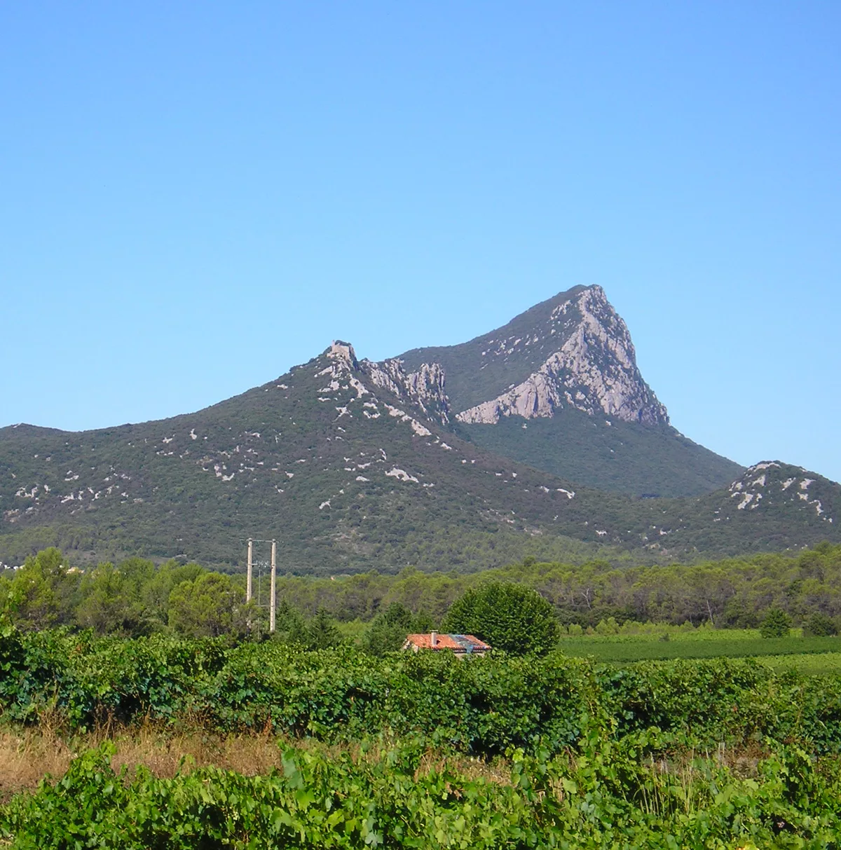 zone intervention communes du pic saint loup