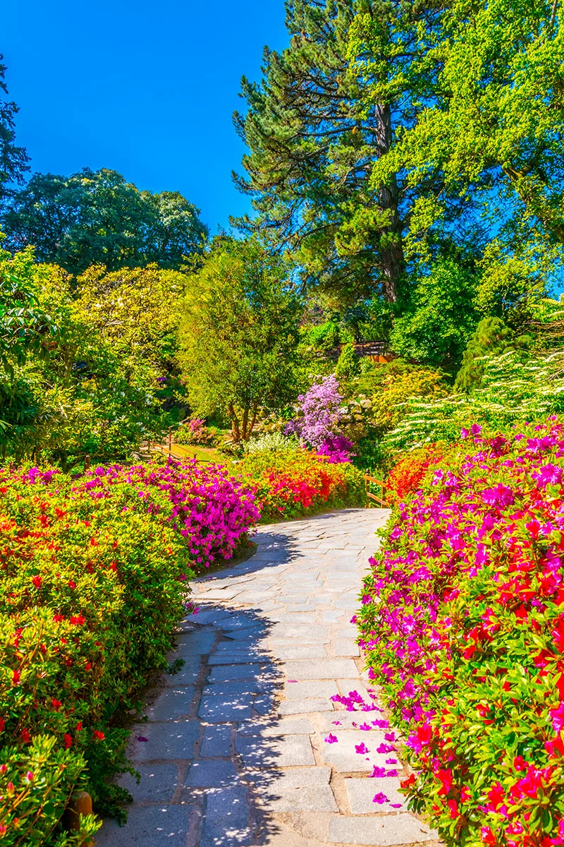 Jardinier paysagiste saint clément de riviere