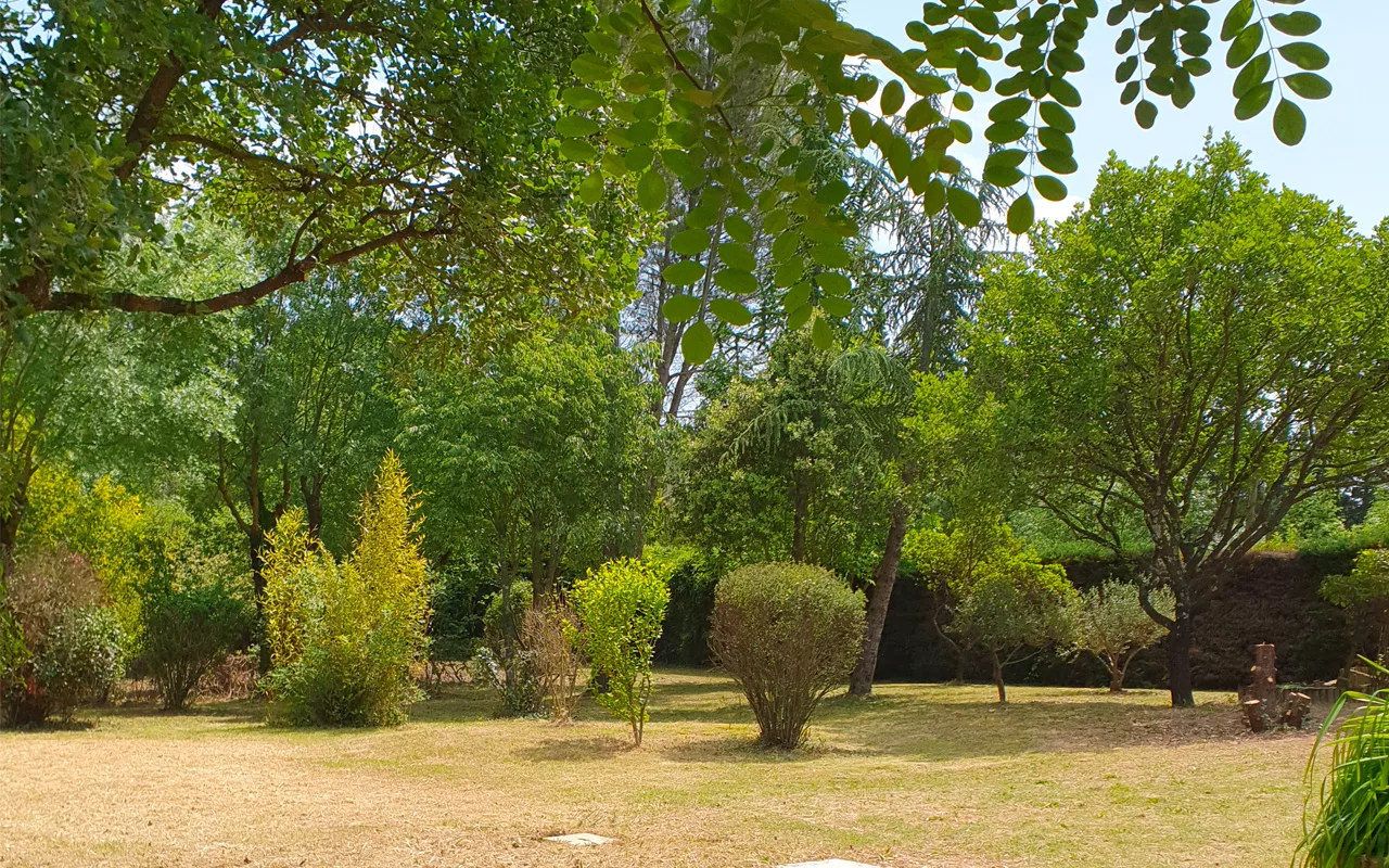 taille-arbuste-vendargues