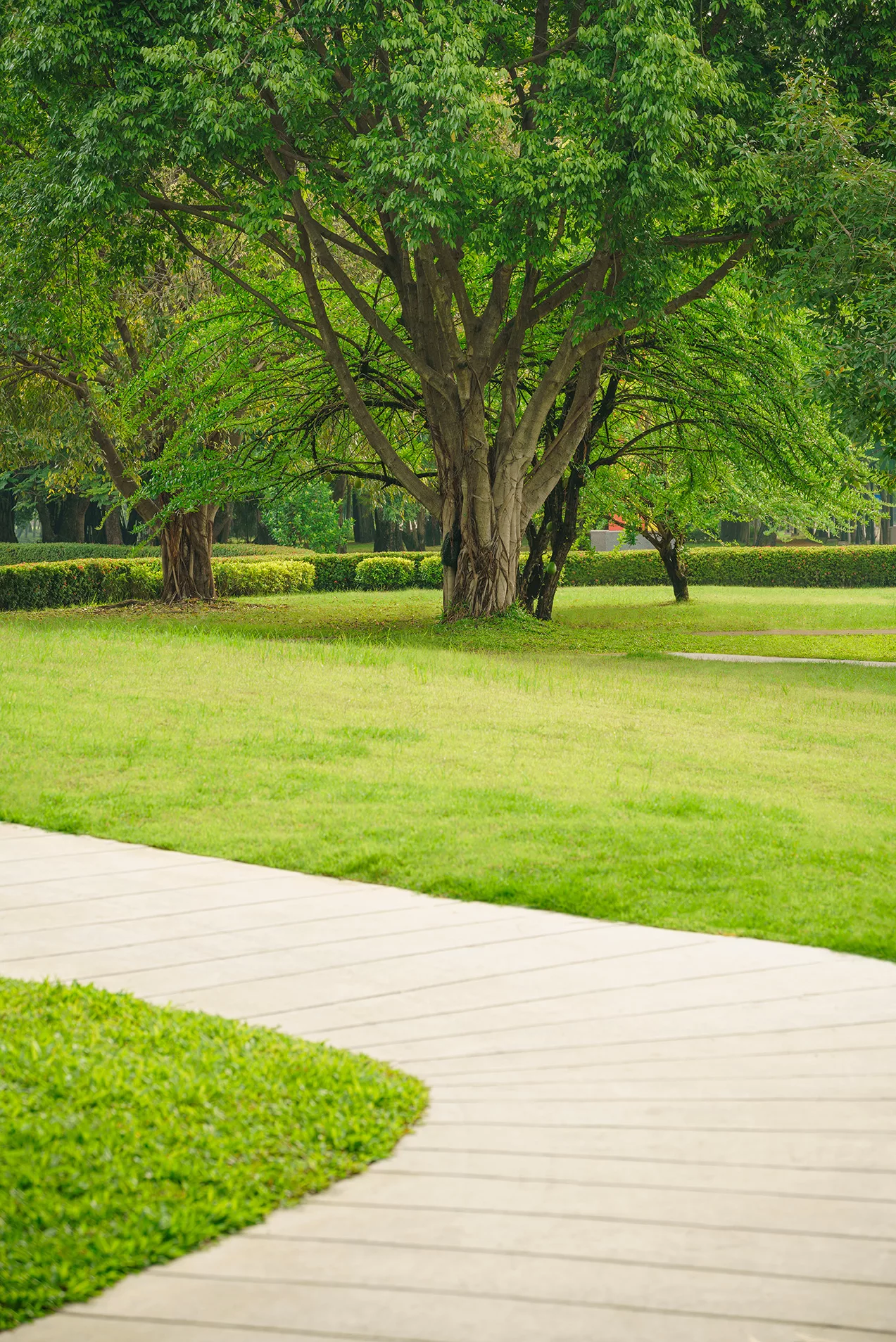 entretien jardin juvignac