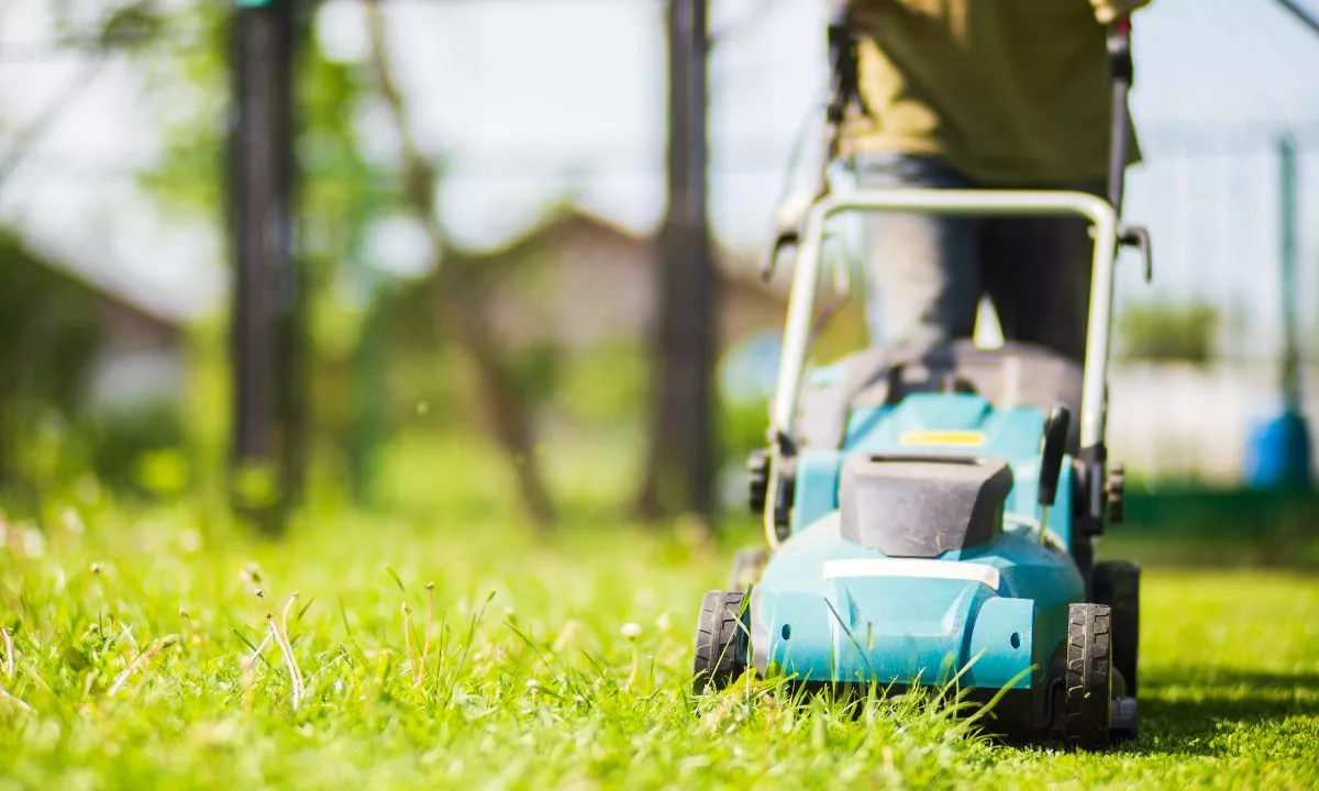 Qui peut bénéficier du service à la personne jardinage ?